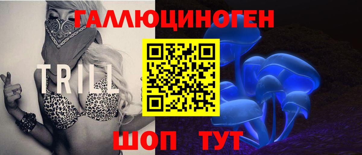 Псилоцибиновые грибы Psilocybine cubensis  Вход с VPN  Саров  как найти   Псилоцибиновые грибы прущие грибы 